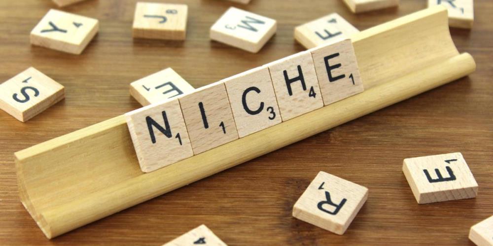Find your Niche