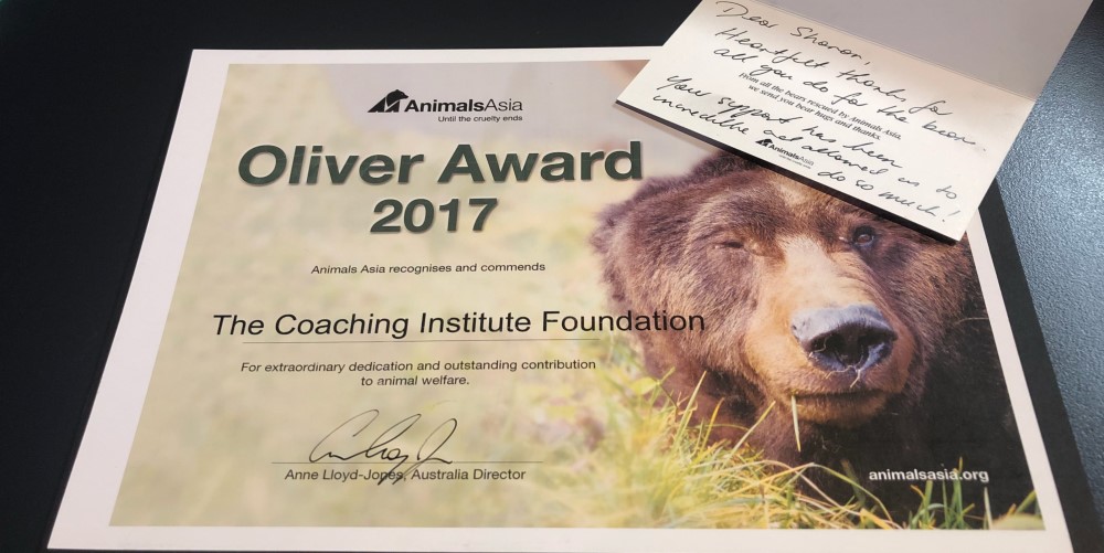 The Coaching Institute Foundation Moon Bear