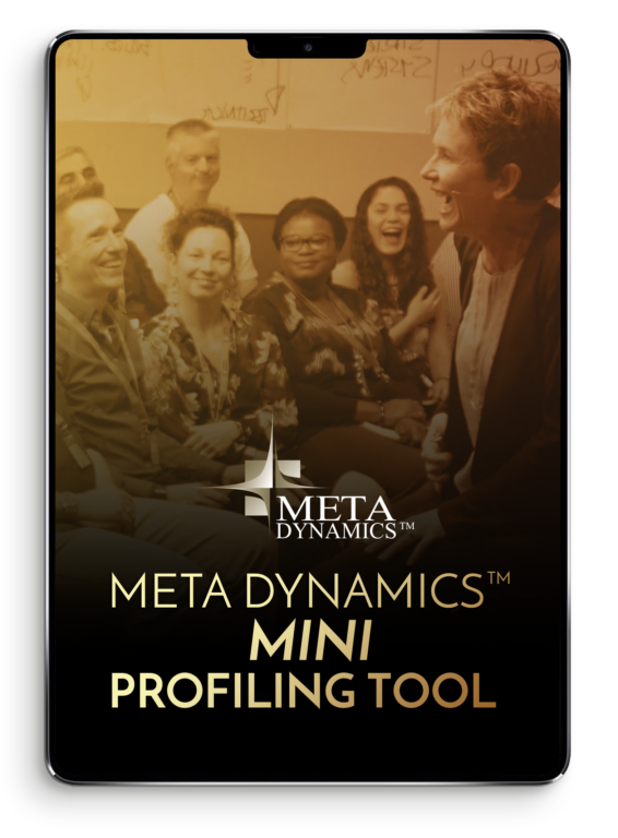 The Meta Dynamics™ Mini Profiling Tool